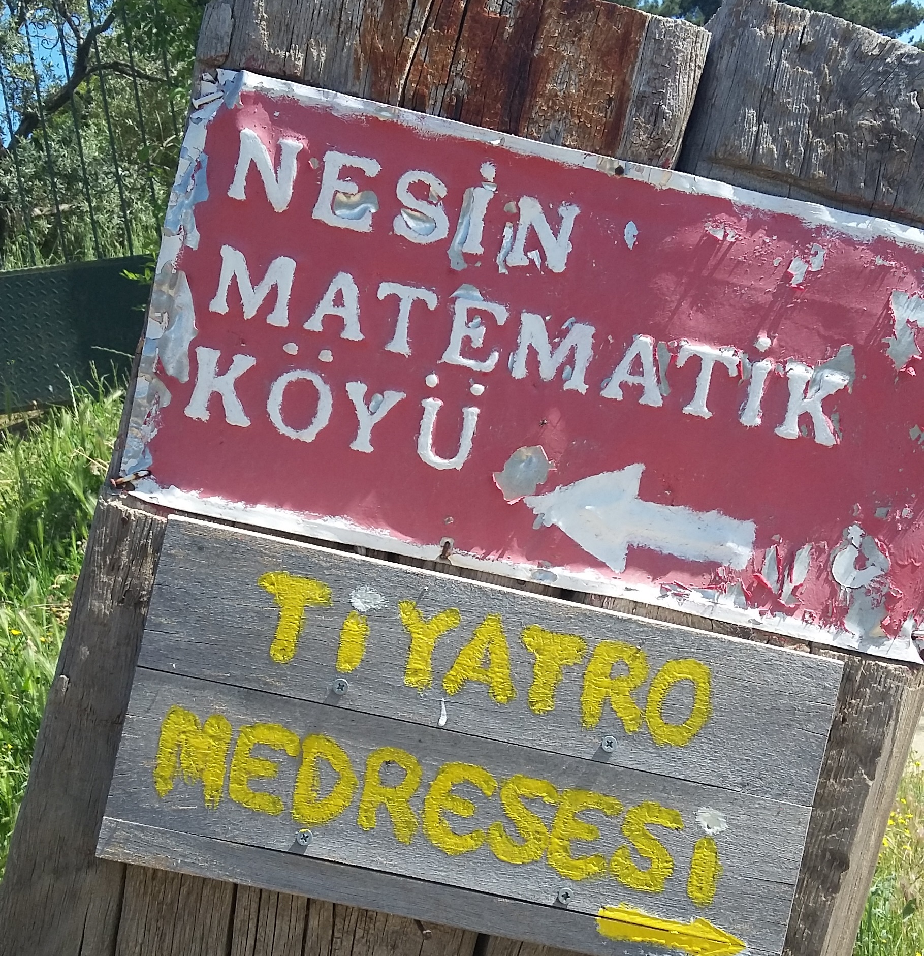 nesin.jpg