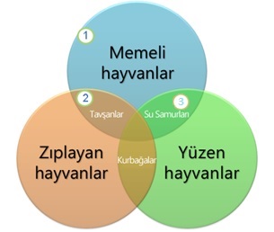 VennDiag